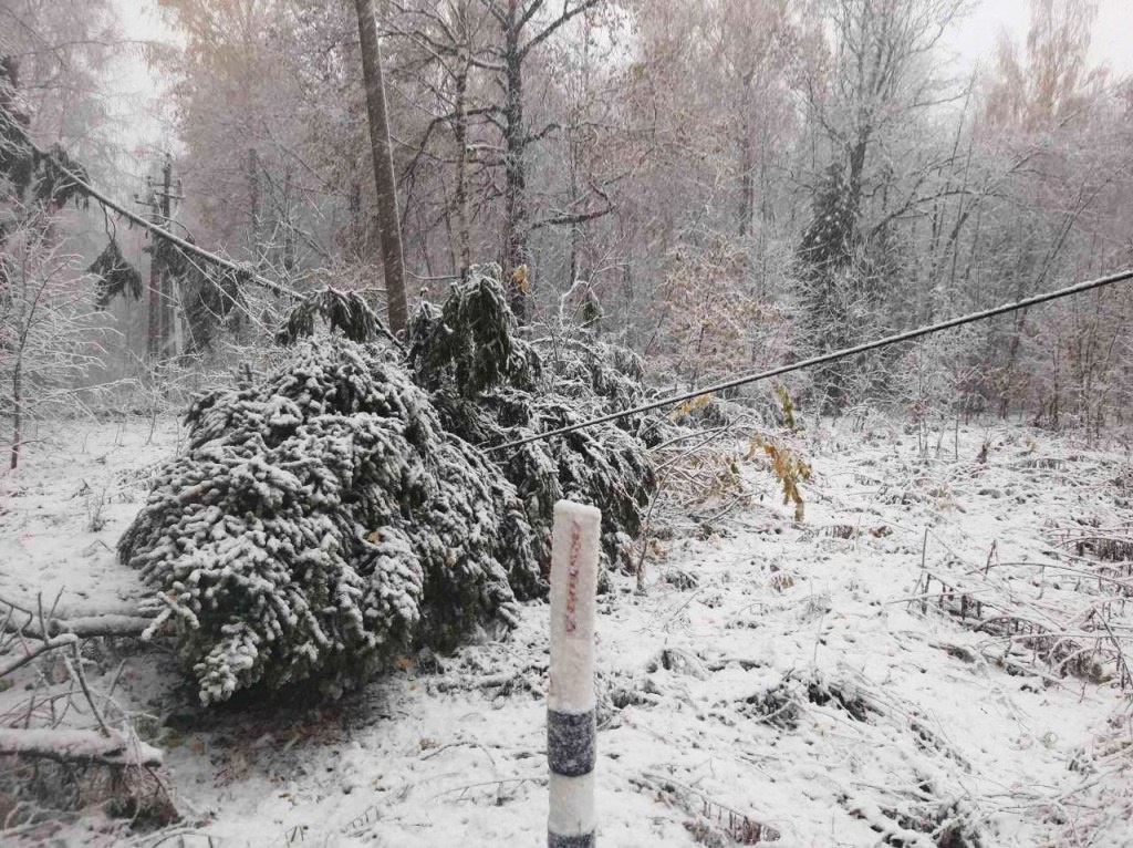 Более 55 деревьев рухнули на провода ЛЭП в Нижегородской области из-за снега - фото 1