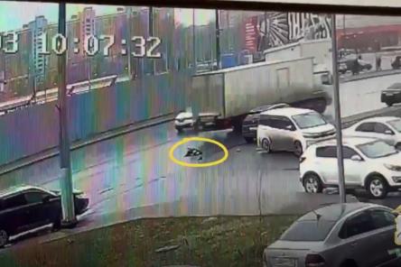 Смертельное ДТП с пешеходом на Мещере обернулось уголовным делом