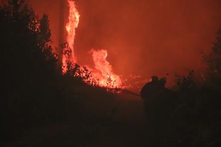 Лесной пожар вблизи Сарова рассчитывают ликвидировать в ближайшие дни