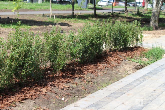 Опубликованы фото благоустраиваемых пространств Нижнего Новгорода - фото 12