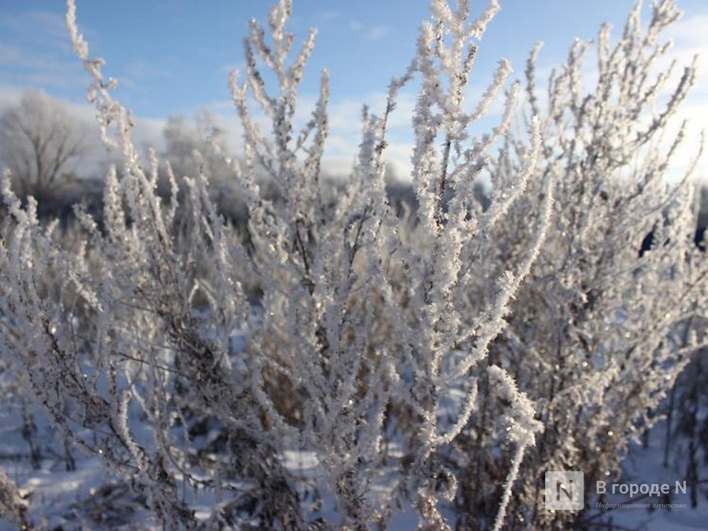 Похолодание до -7&deg;С придет на этой неделе в Нижний Новгород - фото 1