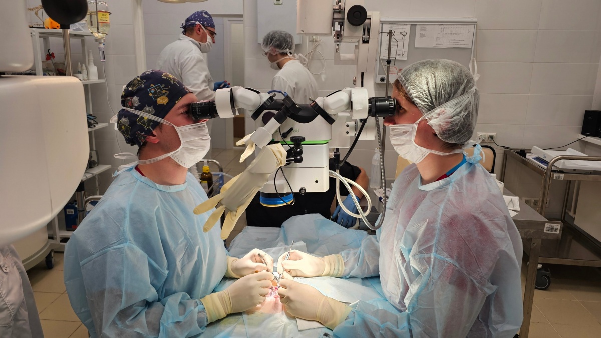 &laquo;ПОЛИСАН&raquo; разработал первый в России раствор для консервации донорских органов - фото 2