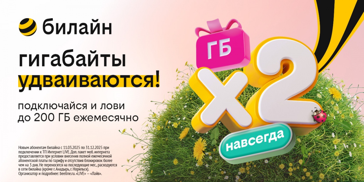 Бесконечное удвоение гигабайтов: билайн запустил акцию для организации интернета в загородном доме - фото 1