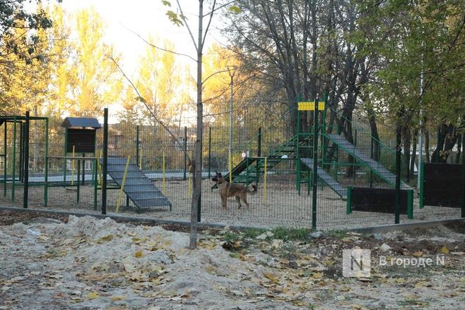 Скейт-парк и обновленная стела: как изменился Приокский район после благоустройства - фото 99