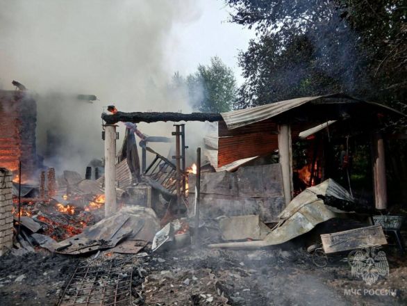 Тело женщины нашли в сгоревшем доме в Нижегородской области - фото 3