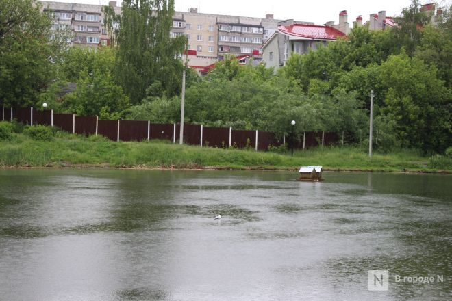 Год под крылом Нижнего Новгорода: как выглядит и чем привлекает Кстово — фоторепортаж - фото 56