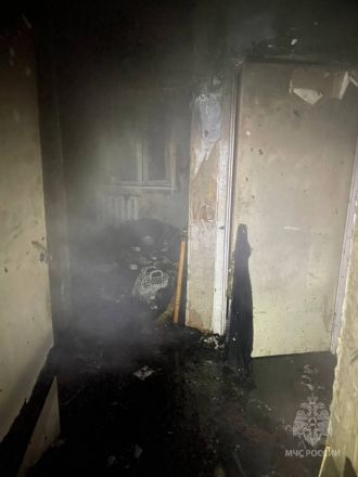 Три человека погибли на пожаре под Бором - фото 4
