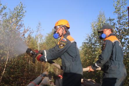 Площадь активного горения леса в Воротынском районе сократилась до 70 га