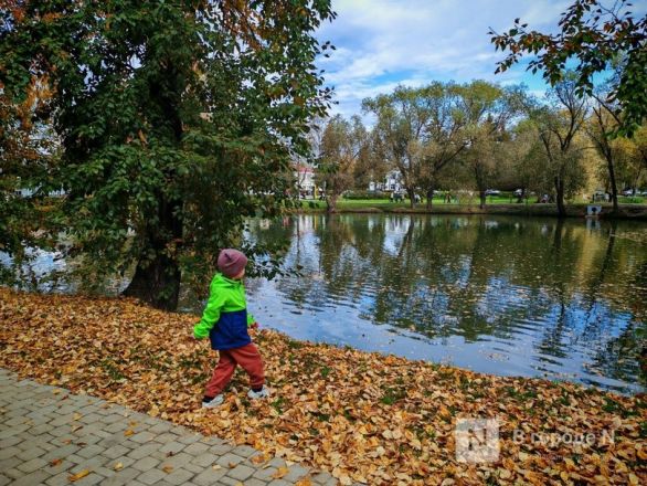 Та самая пушкинская осень: уютный фоторепортаж из Большого Болдина - фото 22