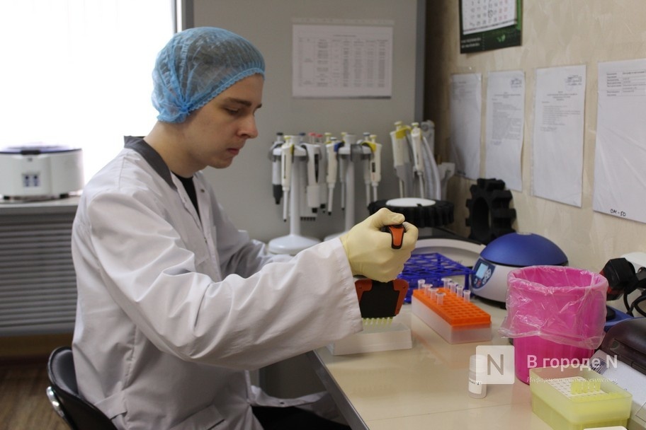 Антибиотики в яичной продукции нашли нижегородские специалисты
