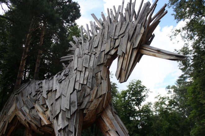 Опубликованы фото с «Выкса-фестиваля» в Нижегородской области - фото 11