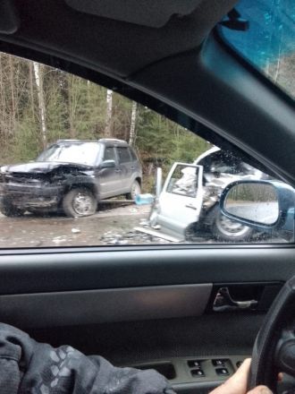 Водитель погиб в ДТП на трассе в Нижегородской области - фото 2