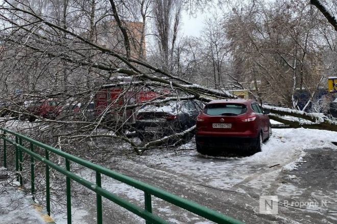 Побитые машины, вставшие трамваи, недовольные граждане: последствия ледяного дождя в Нижнем Новгороде - фото 2