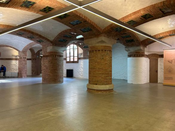 Морские гады, руины и потрясающий климат: вся правда о путешествии Барселона &mdash; Рим - фото 15