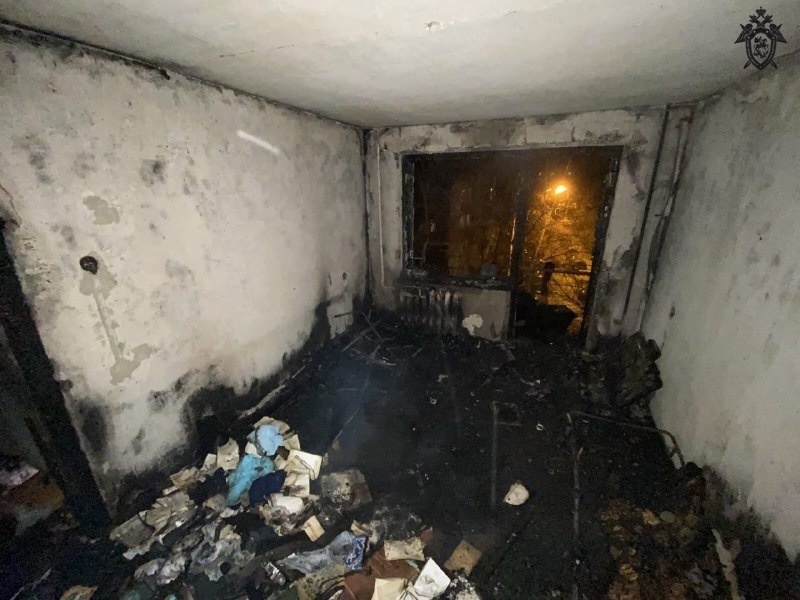 СК возбудил дело по факту гибели двух женщин на пожаре в Ленинском районе - фото 1