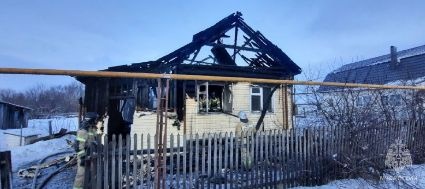 Мужчина и женщина погибли при пожаре в Лукояновском округе - фото 1