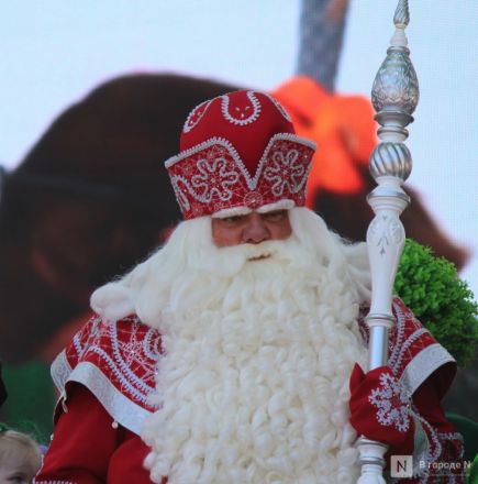 Попкорн и шаурма вышли на костюмированный парад фестиваля Ивлева в Нижнем Новгороде - фото 48