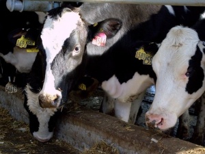 Нижегородская область берет курс на увеличение экспорта сельхозпродукции