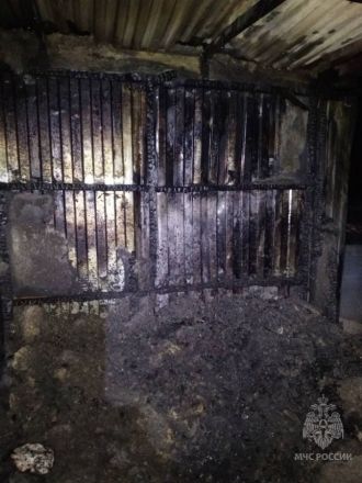 Названа вероятная причина пожара в бытовке на М-12 в Нижегородской области - фото 2