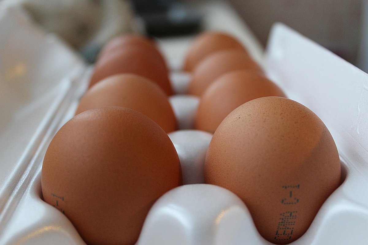 В Нижегородской области подешевели куриные яйца