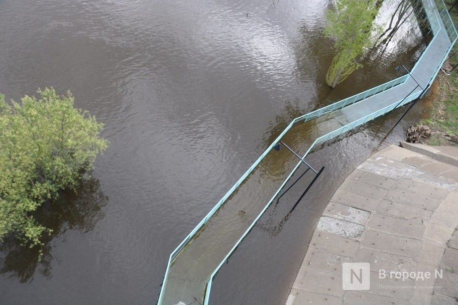 63 дома и более 1300 участков затопило в Нижегородской области  - фото 1
