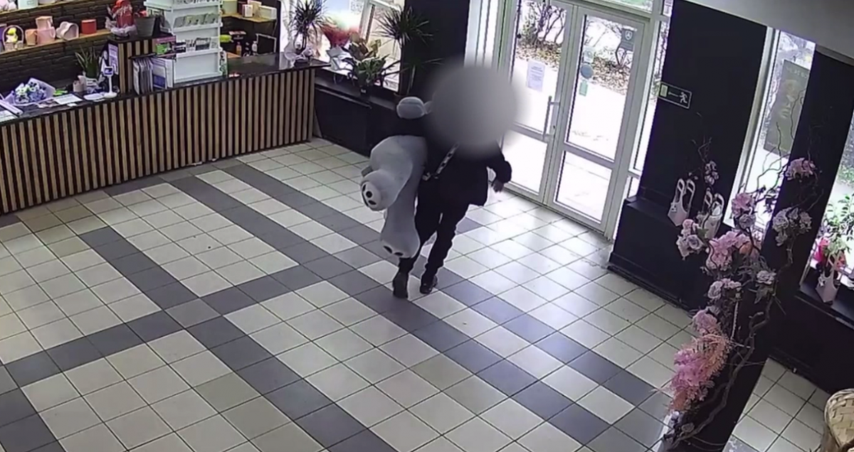 Нижегородца могут посадить на четыре года за кражу плюшевого медведя - фото 1