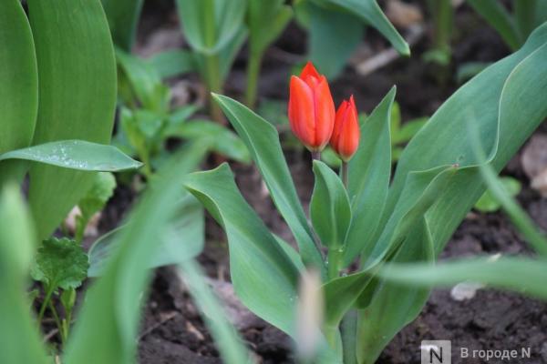 Опубликован прогноз погоды в Нижнем Новгороде на 9 &mdash; 15 марта