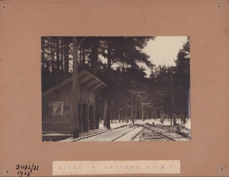 Ленинский район Нижнего Новгорода: история и архивные фото - фото 1