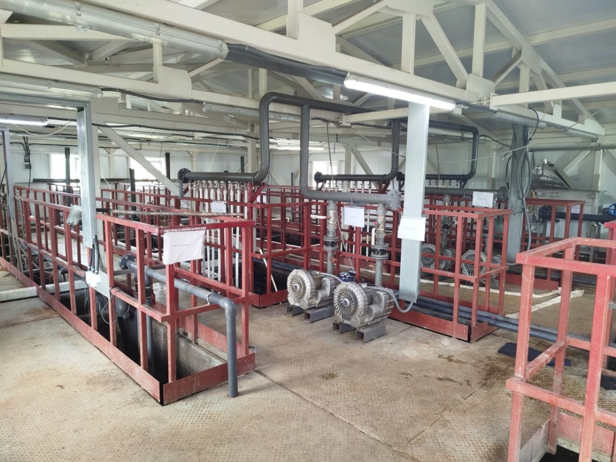 Семеновский горводоканал накажут за загрязнение реки - фото 1