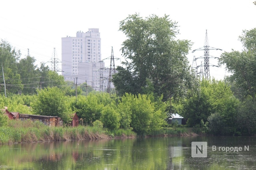 Парк может появиться на берегах Левинки в Нижнем Новгороде - фото 1