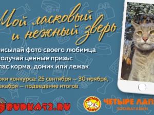 Новый фотоконкурс начинается в Клубе «В городе N»