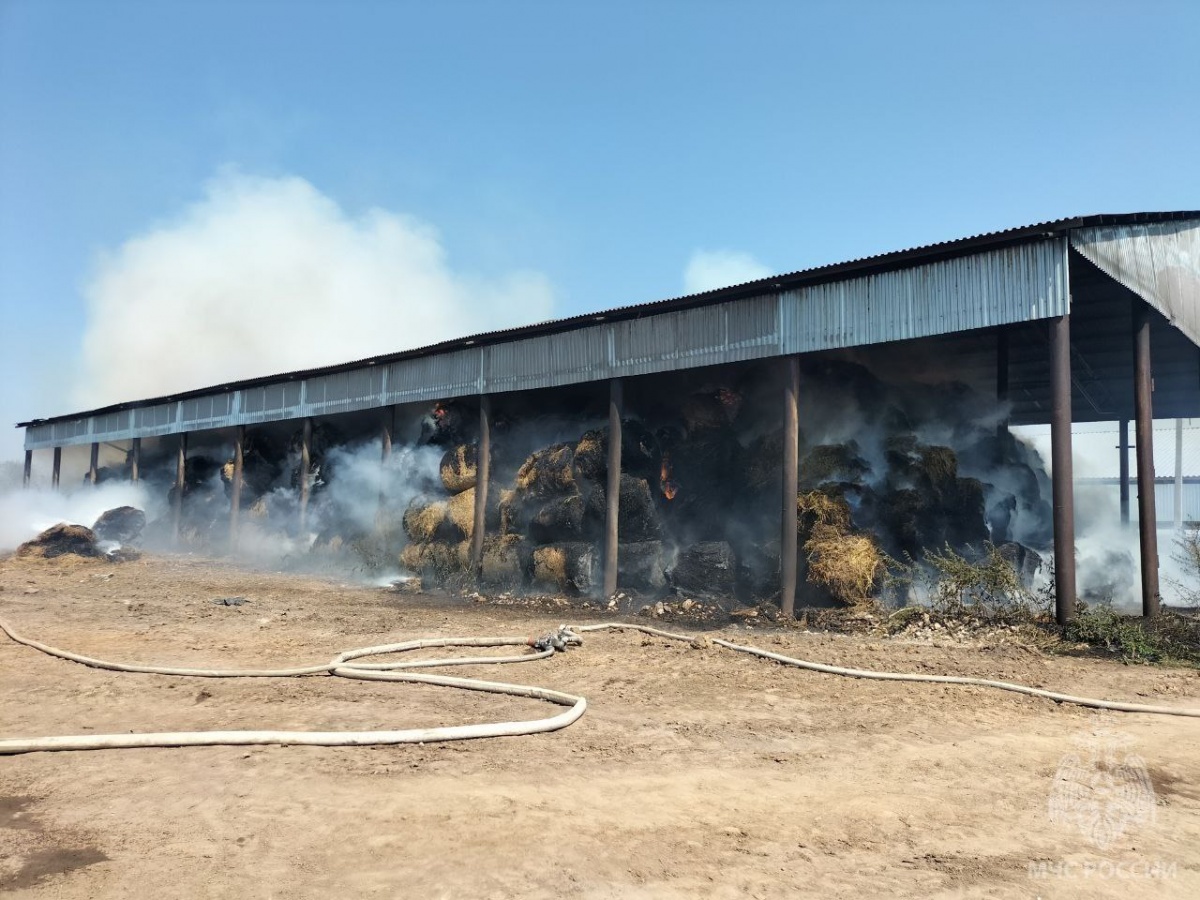 Сенохранилище горит в Нижегородской области на площади 450 кв. метров - фото 1