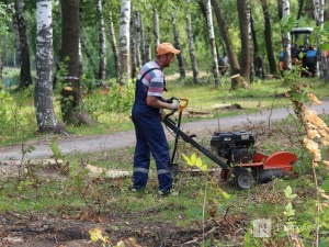 Нижегородцы смогут выбрать территории для благоустройства