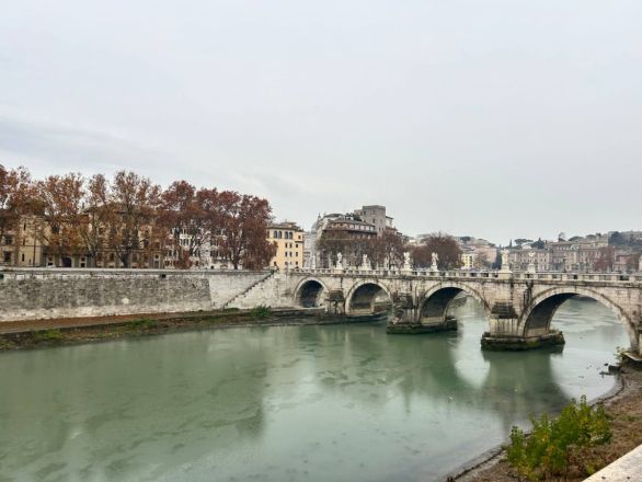 Морские гады, руины и потрясающий климат: вся правда о путешествии Барселона &mdash; Рим - фото 96