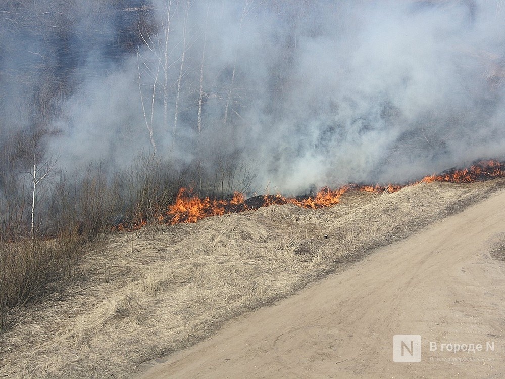 33 случая горения сухой травы произошло в Нижегородской области в 2024 году