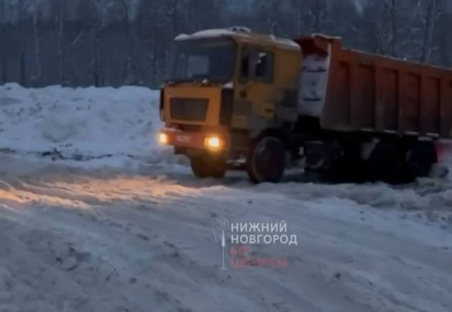 Нижегородские власти прокомментировали вывоз снега на Шуваловскую свалку - фото 1